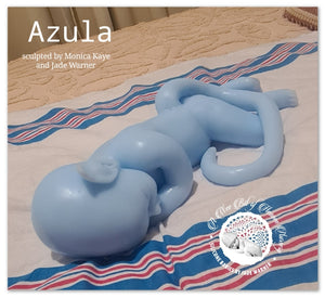 Azula Full Body Silicone Baby girl *Deposit ONLY*