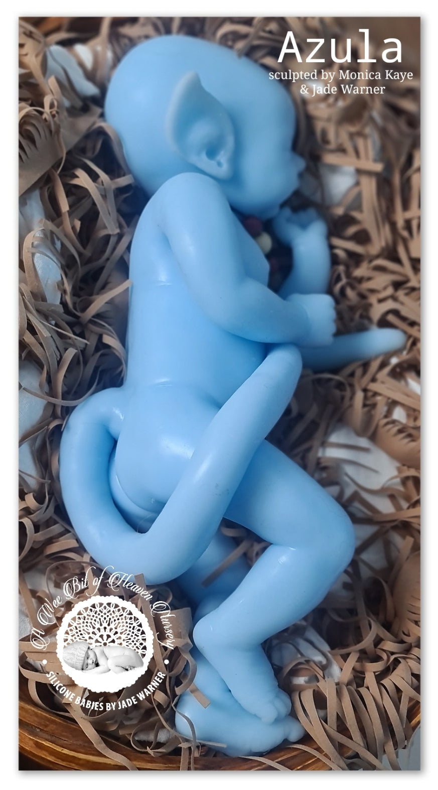 Azula Full Body Silicone Baby girl *Deposit ONLY*