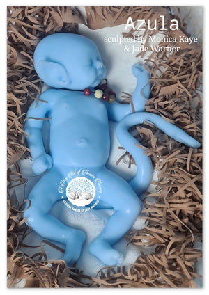 Azula Full Body Silicone Baby girl *Deposit ONLY*