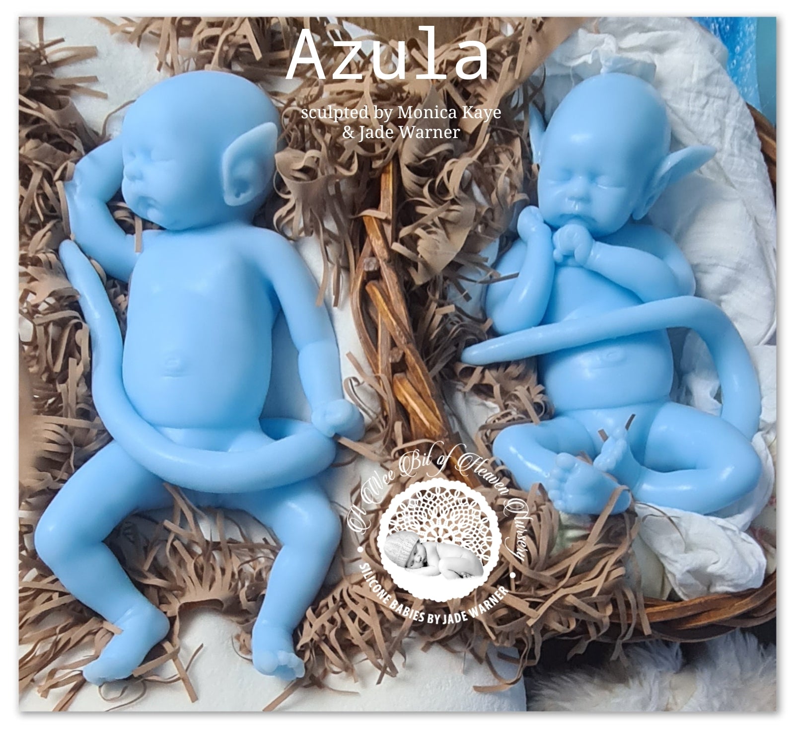 Azula Full Body Silicone Baby girl *Deposit ONLY*