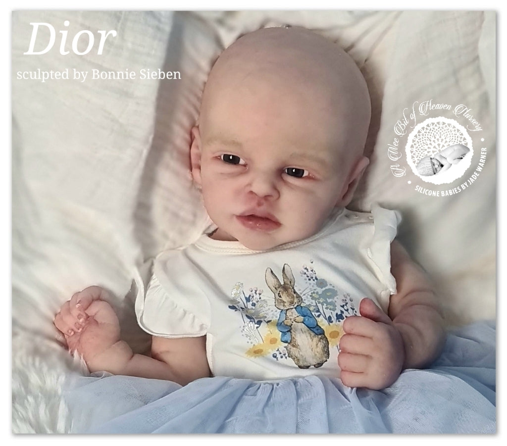 Dior sculpted by Bonnie Sieben - Available  to Adopt -