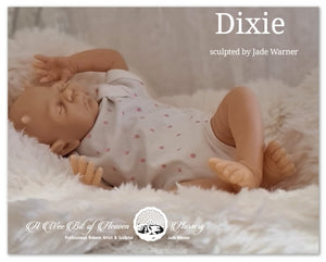 Dixie Vinyl Doll Kit by Jade Warner