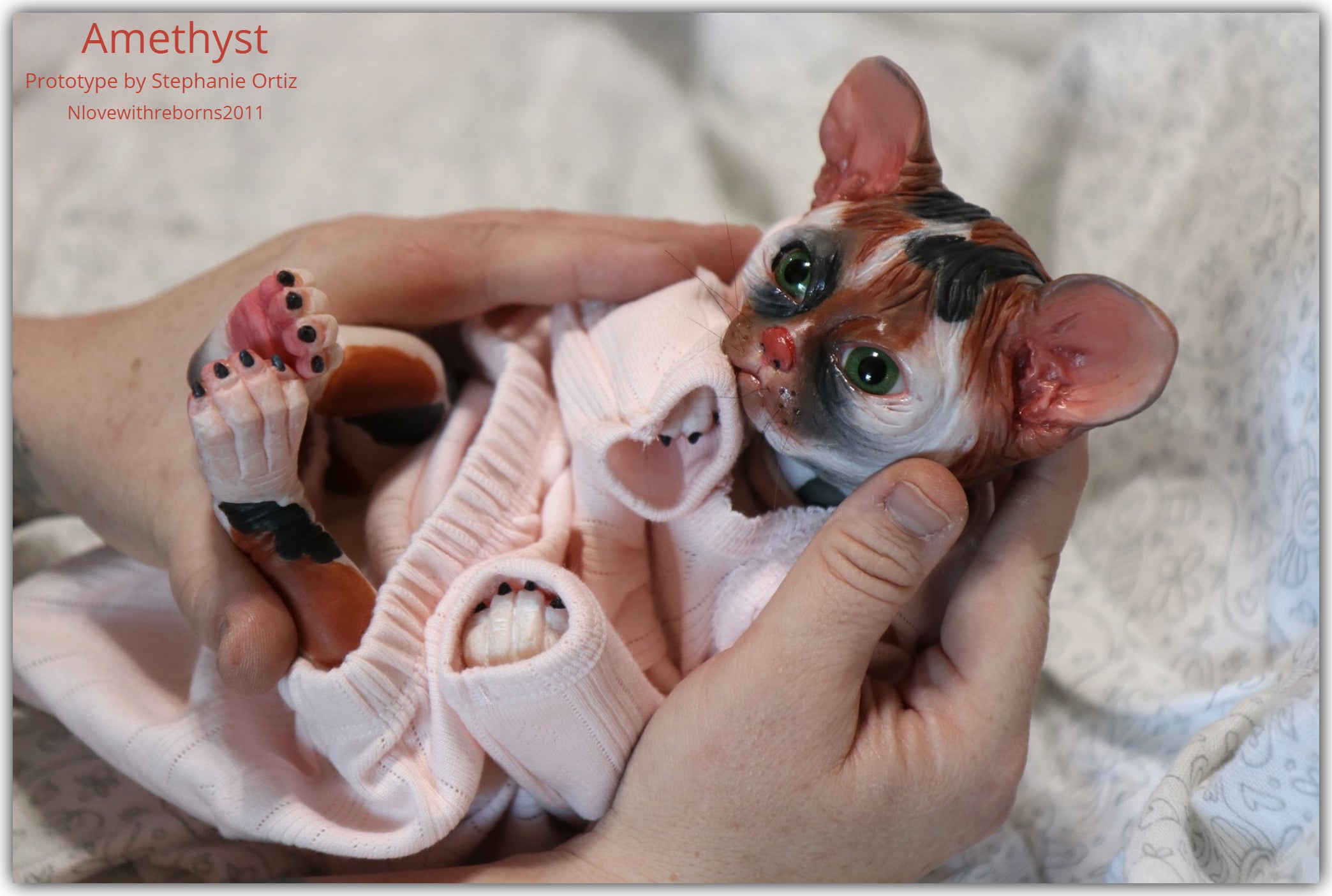 Amethyst Sphinx Kitten