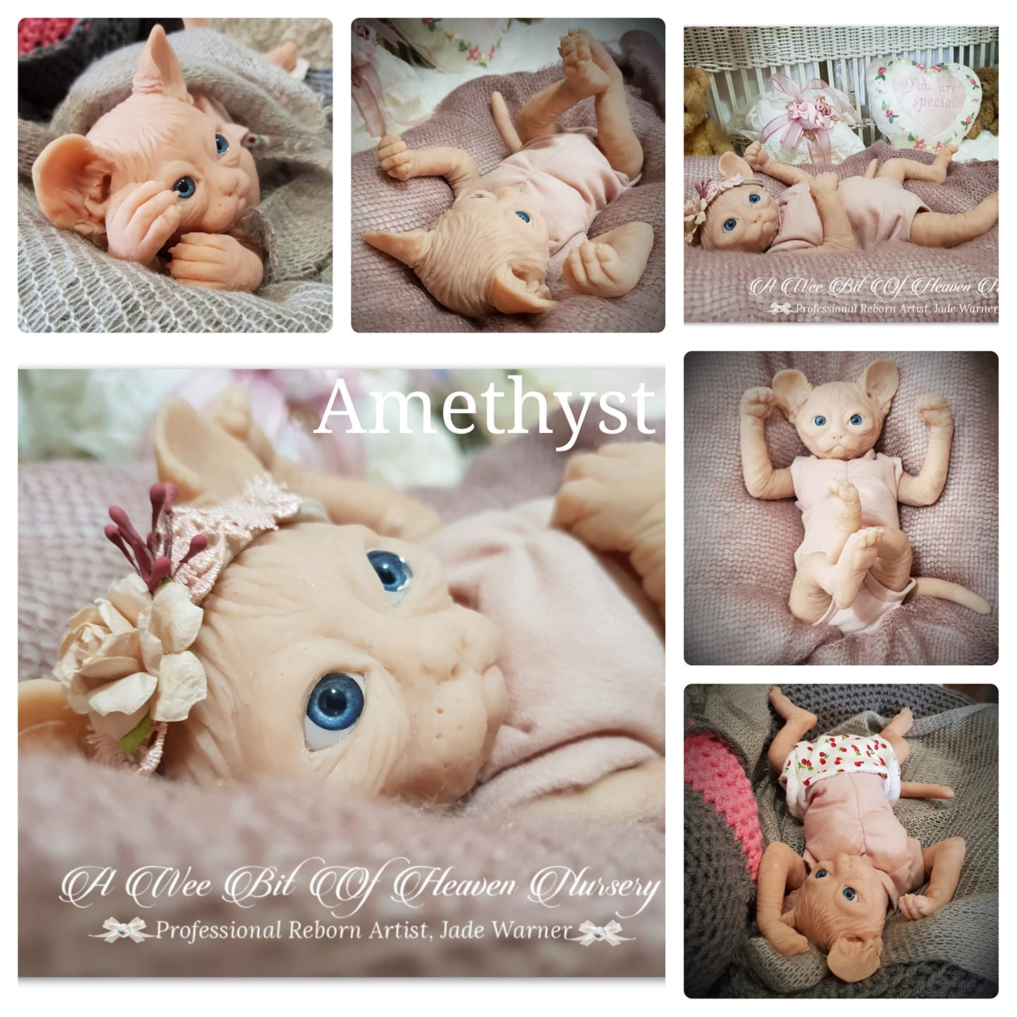 Amethyst Sphinx Kitten