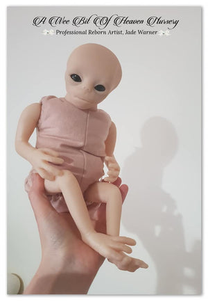 Elara Baby Alien Vinyl Kit