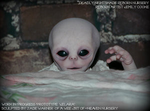 Elara Baby Alien Vinyl Kit