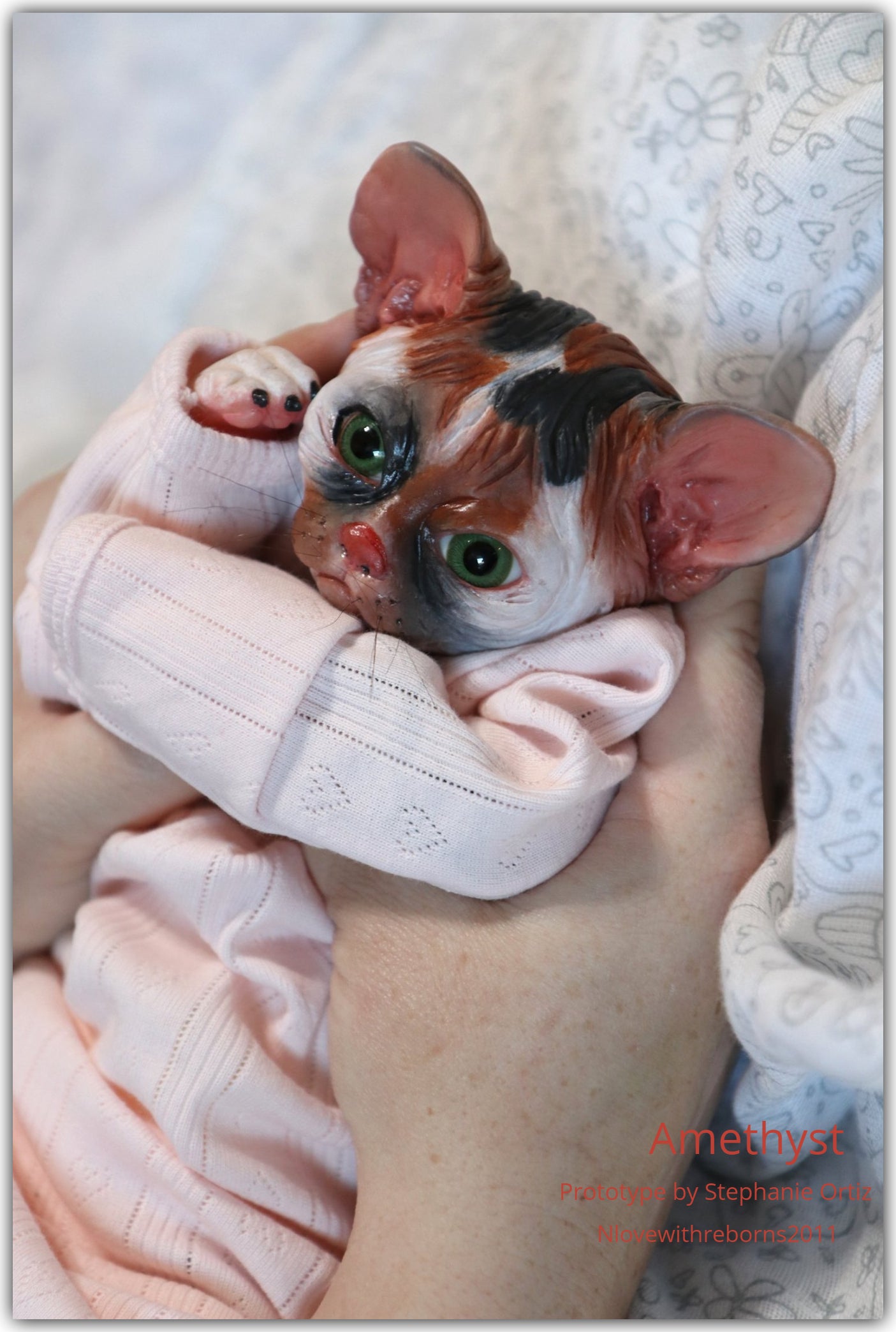 Amethyst Sphinx Kitten