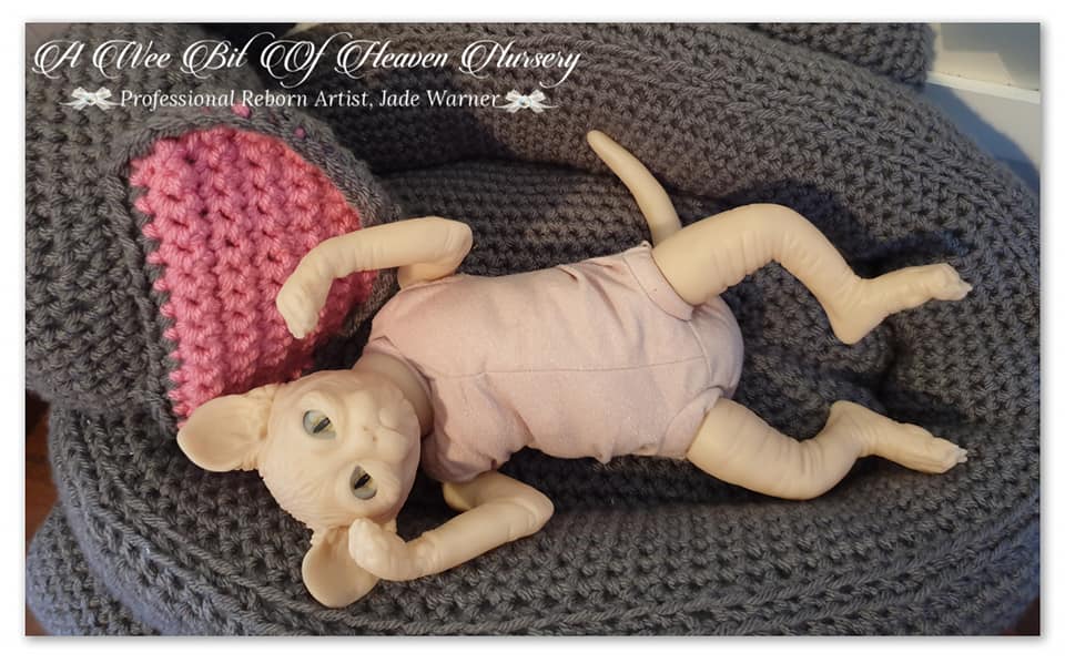 Amethyst Sphinx Kitten