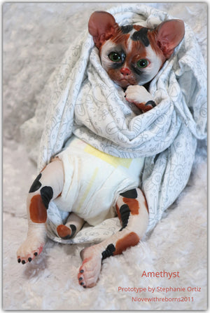 Amethyst Sphinx Kitten