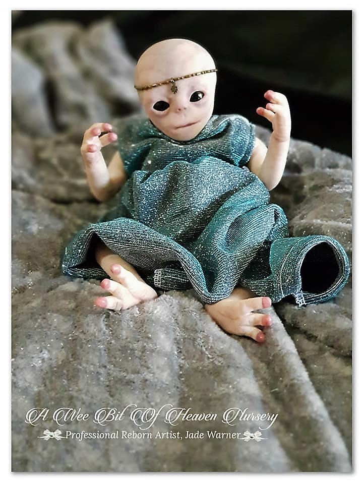 Elara Baby Alien Vinyl Kit