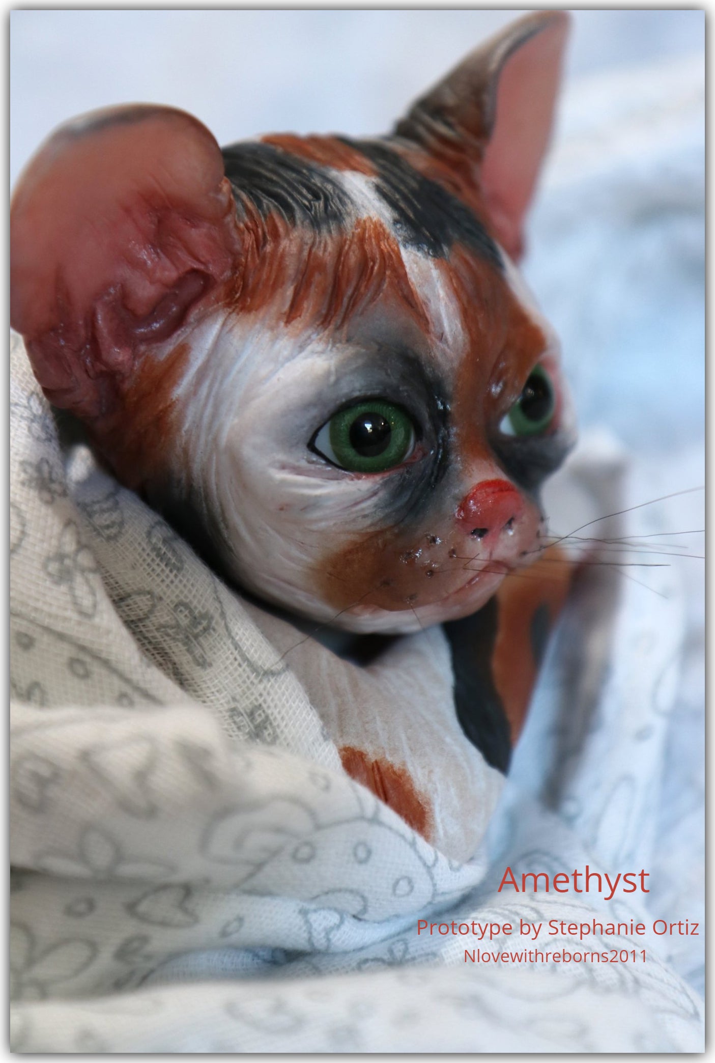 Amethyst Sphinx Kitten