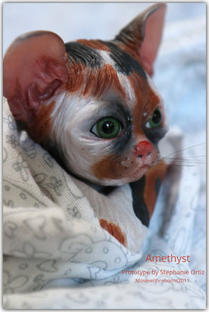 Amethyst Sphinx Kitten