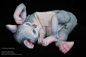 Amethyst Sphinx Kitten