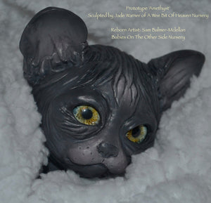 Amethyst Sphinx Kitten