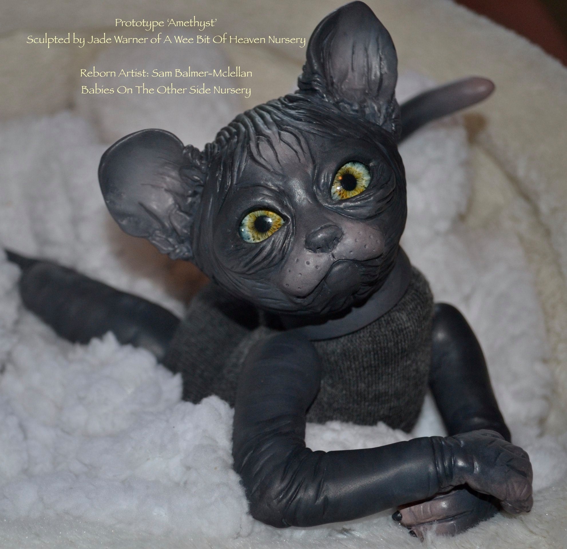 Amethyst Sphinx Kitten