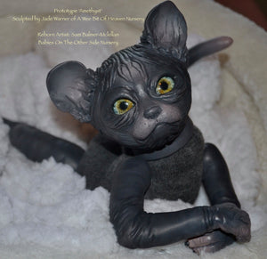 Amethyst Sphinx Kitten