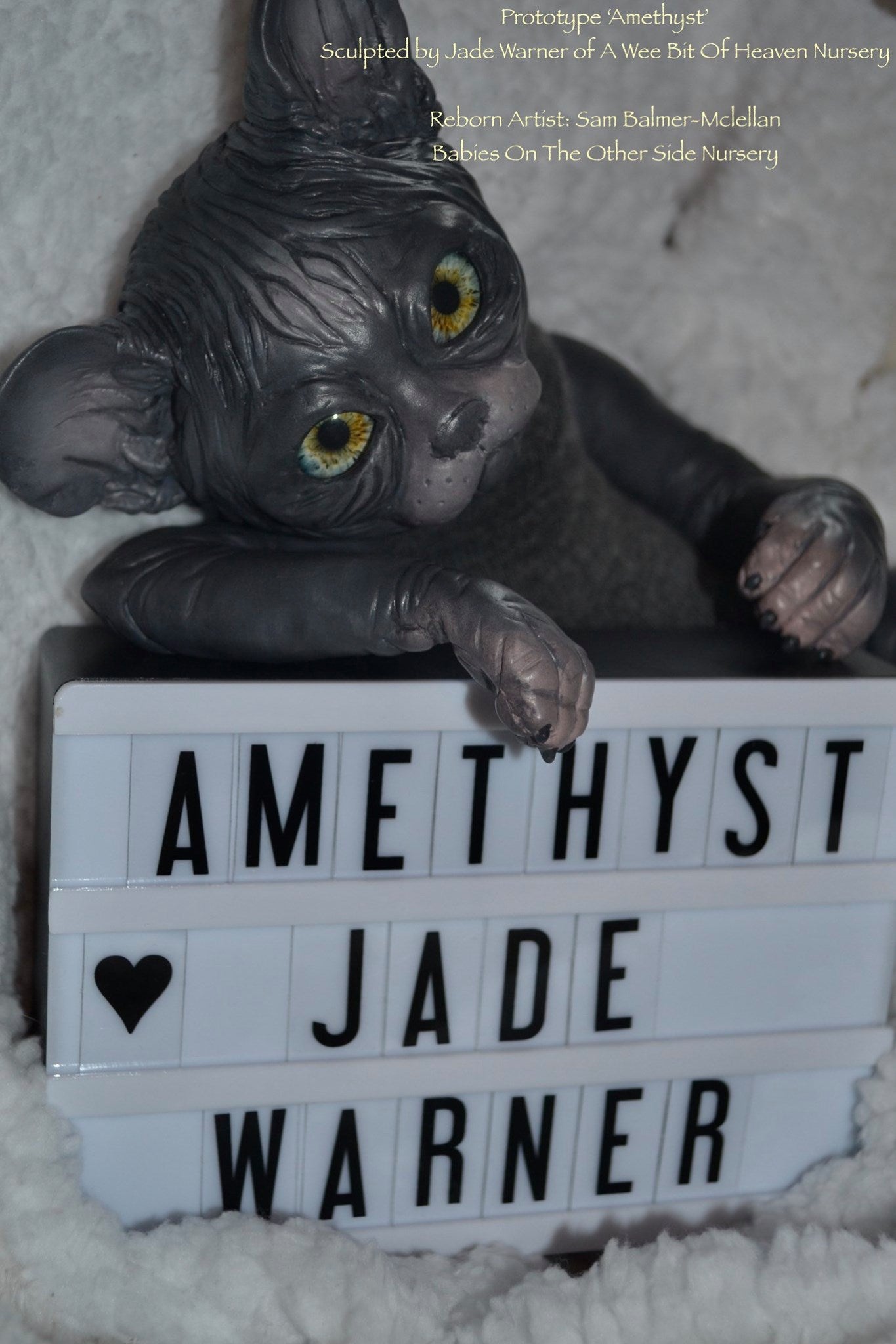 Amethyst Sphinx Kitten