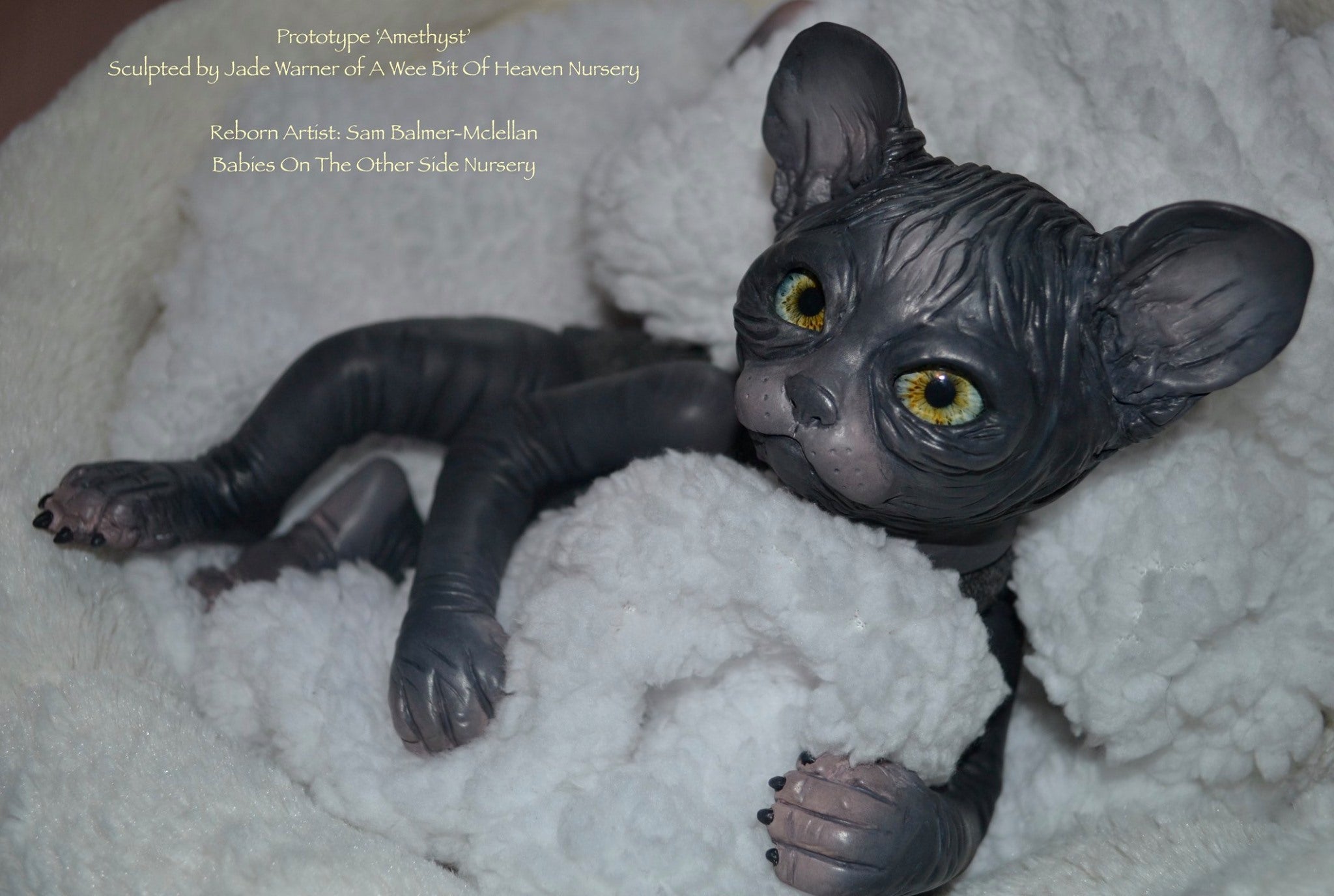 Amethyst Sphinx Kitten