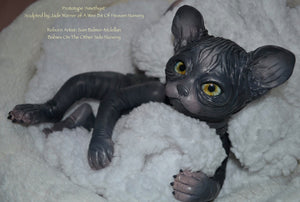 Amethyst Sphinx Kitten