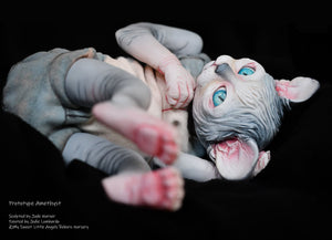 Amethyst Sphinx Kitten