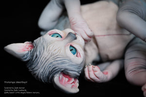 Amethyst Sphinx Kitten