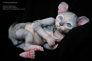 Amethyst Sphinx Kitten
