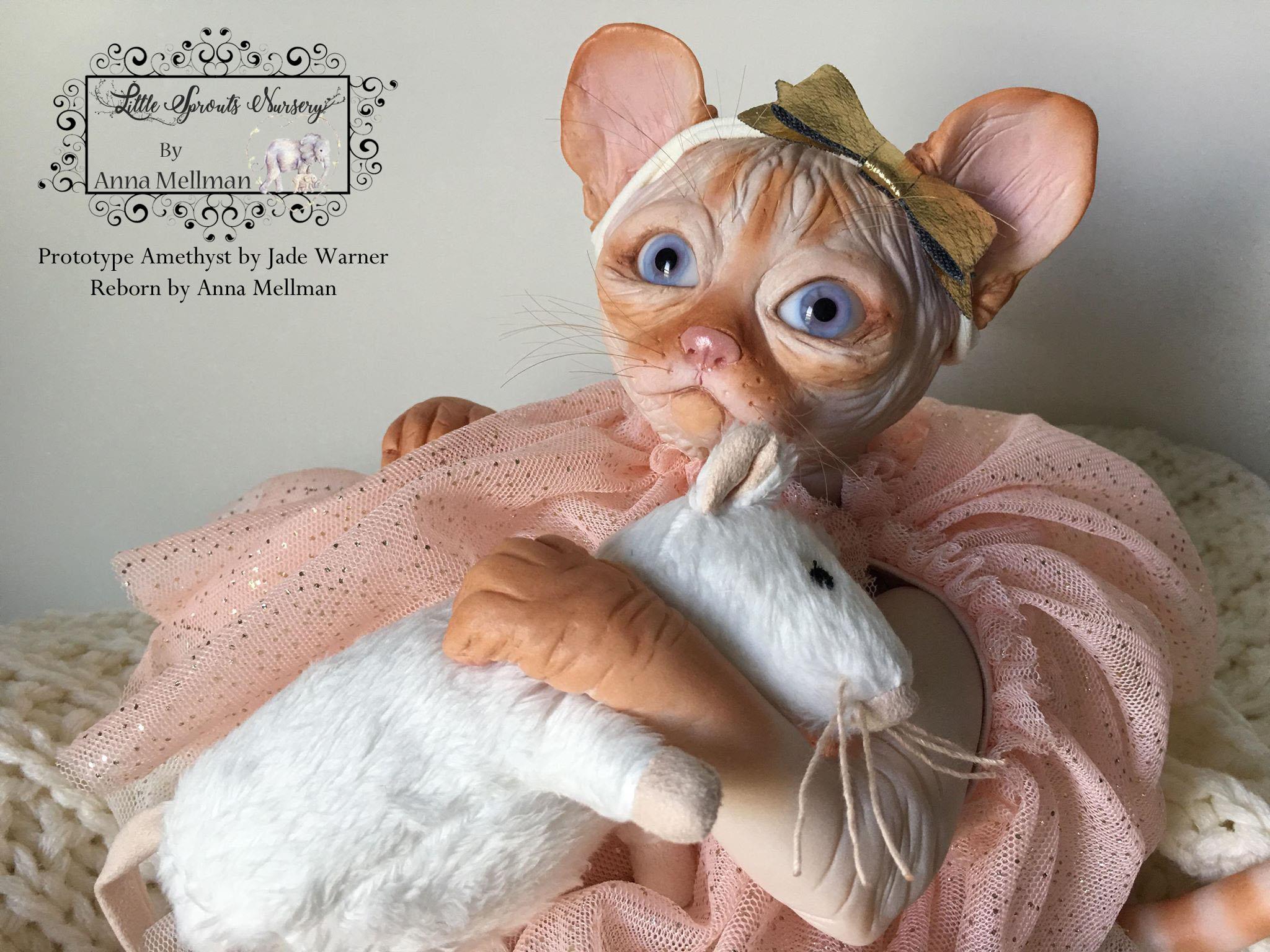 Amethyst Sphinx Kitten