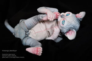 Amethyst Sphinx Kitten