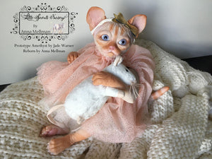 Amethyst Sphinx Kitten