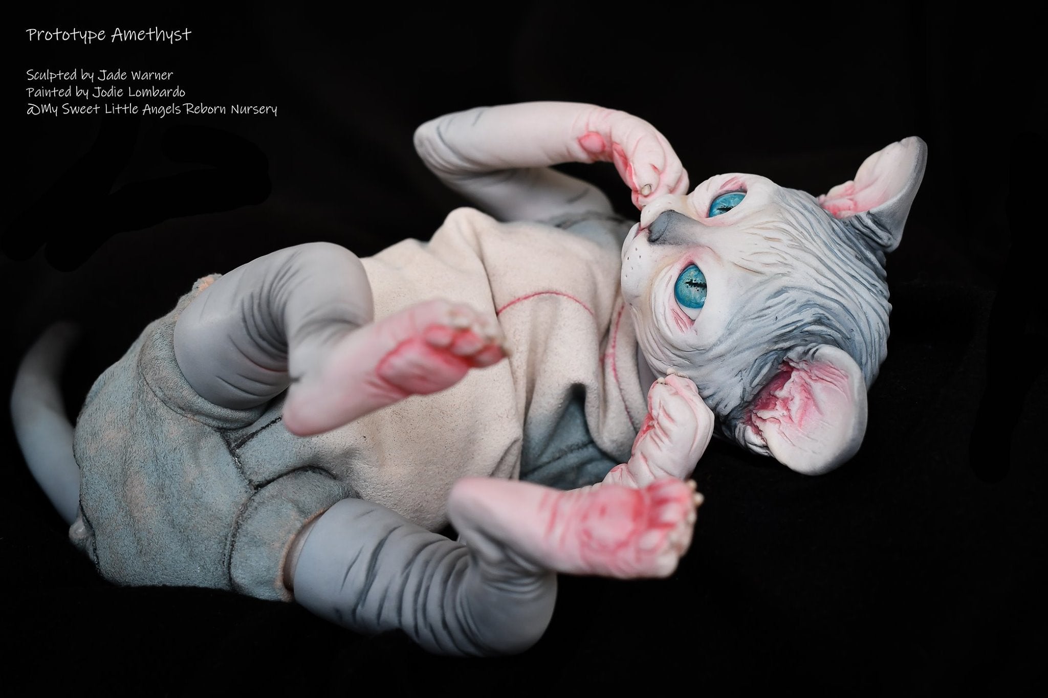 Amethyst Sphinx Kitten