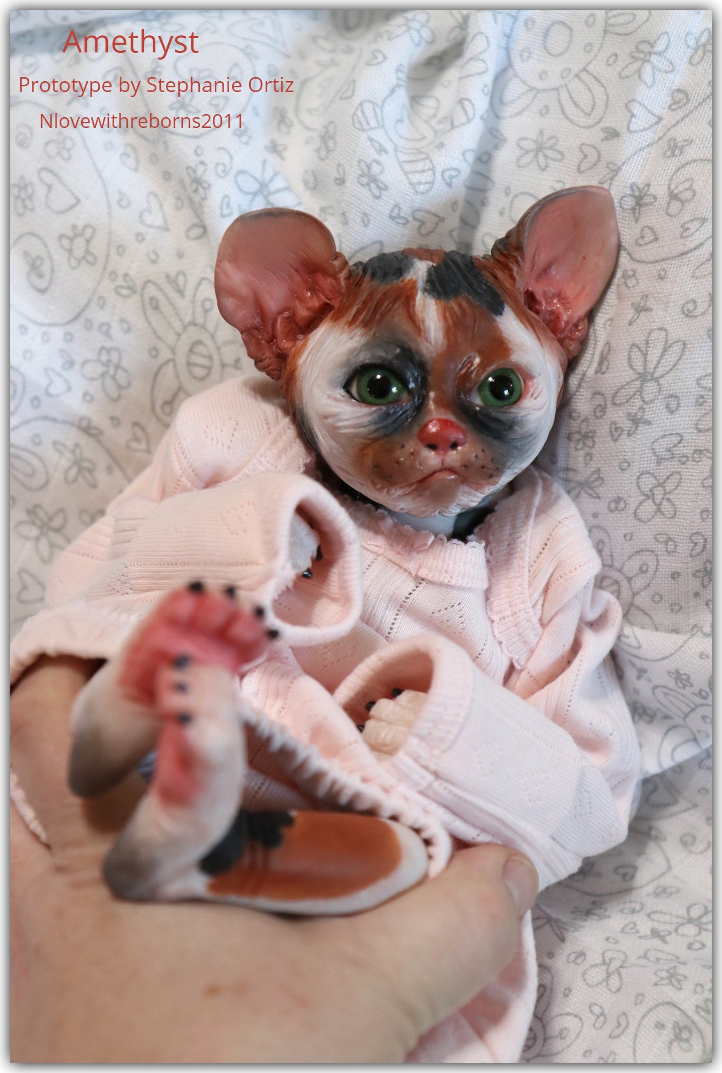 Amethyst Sphinx Kitten