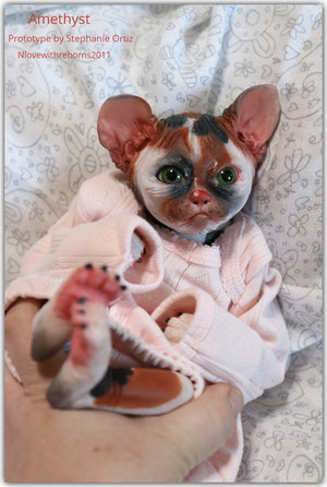 Amethyst Sphinx Kitten
