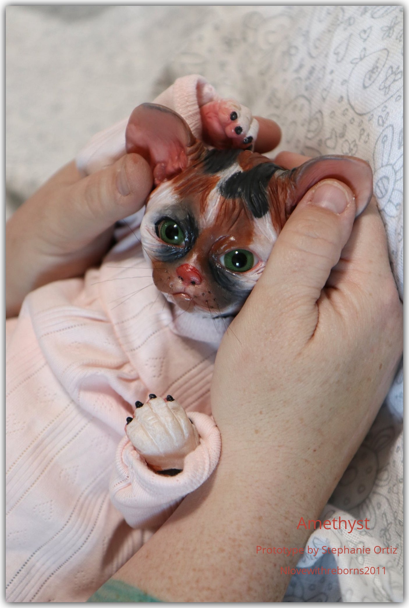 Amethyst Sphinx Kitten
