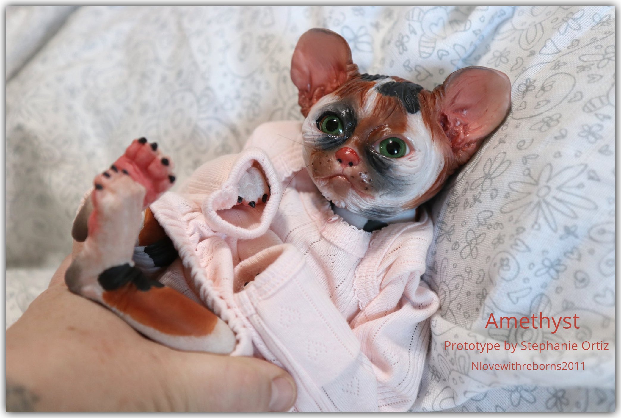 Amethyst Sphinx Kitten