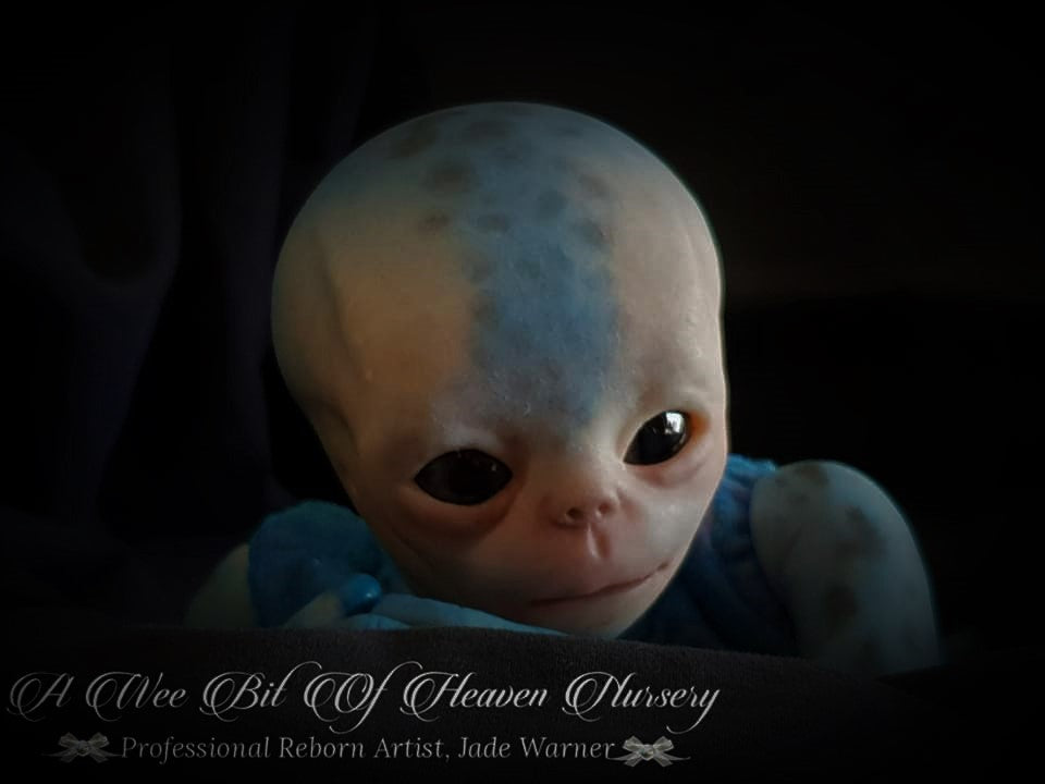 Elara Baby Alien Vinyl Kit