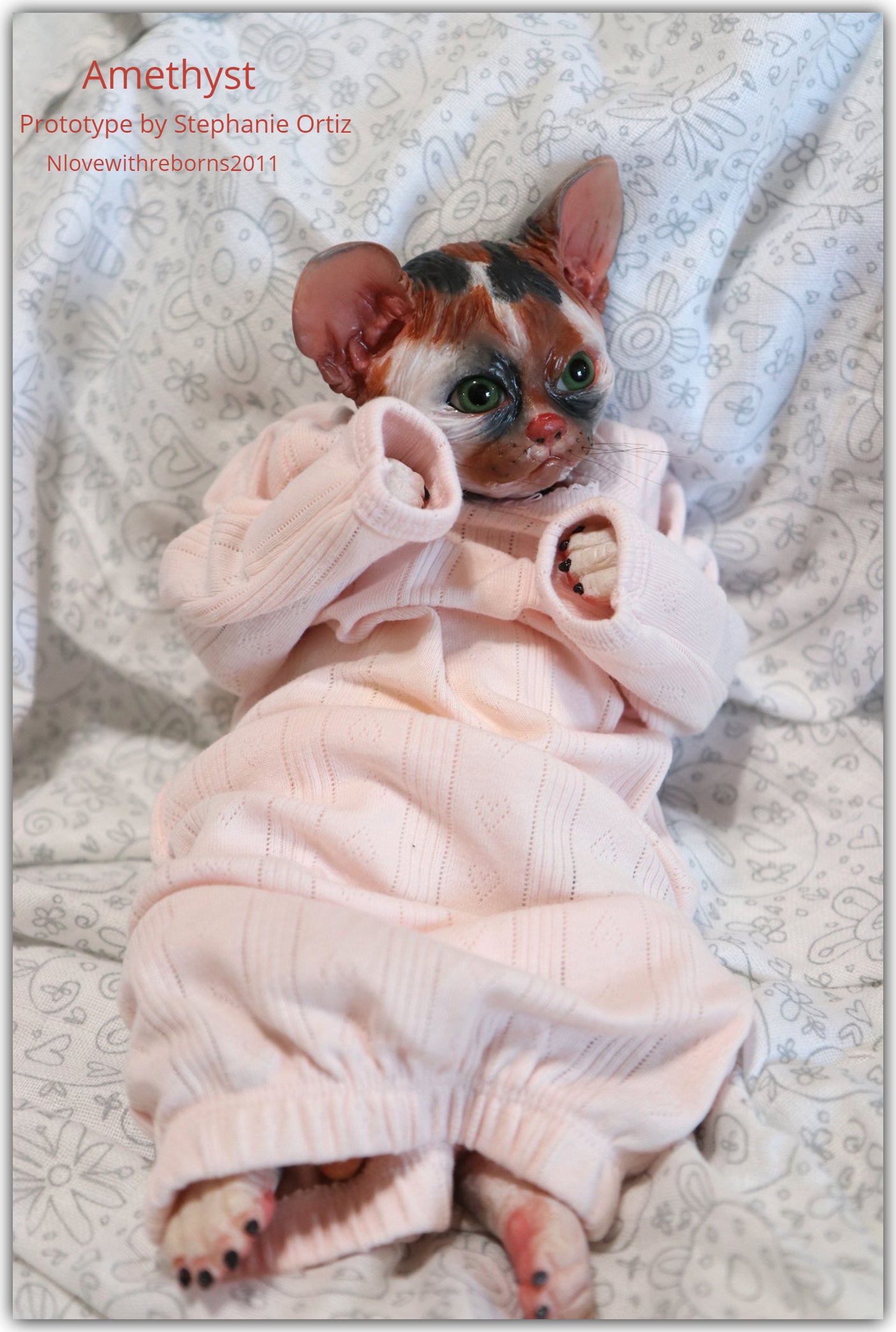 Amethyst Sphinx Kitten