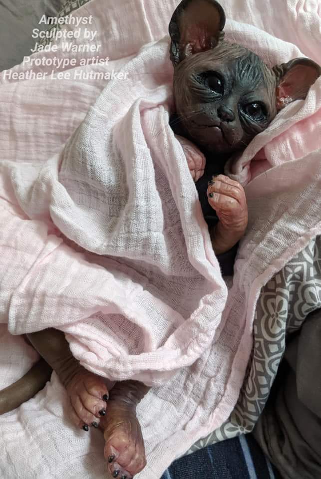 Amethyst Sphinx Kitten