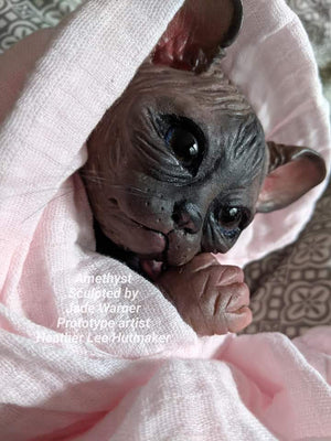Amethyst Sphinx Kitten