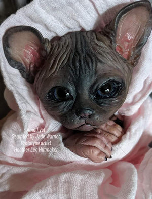 Amethyst Sphinx Kitten
