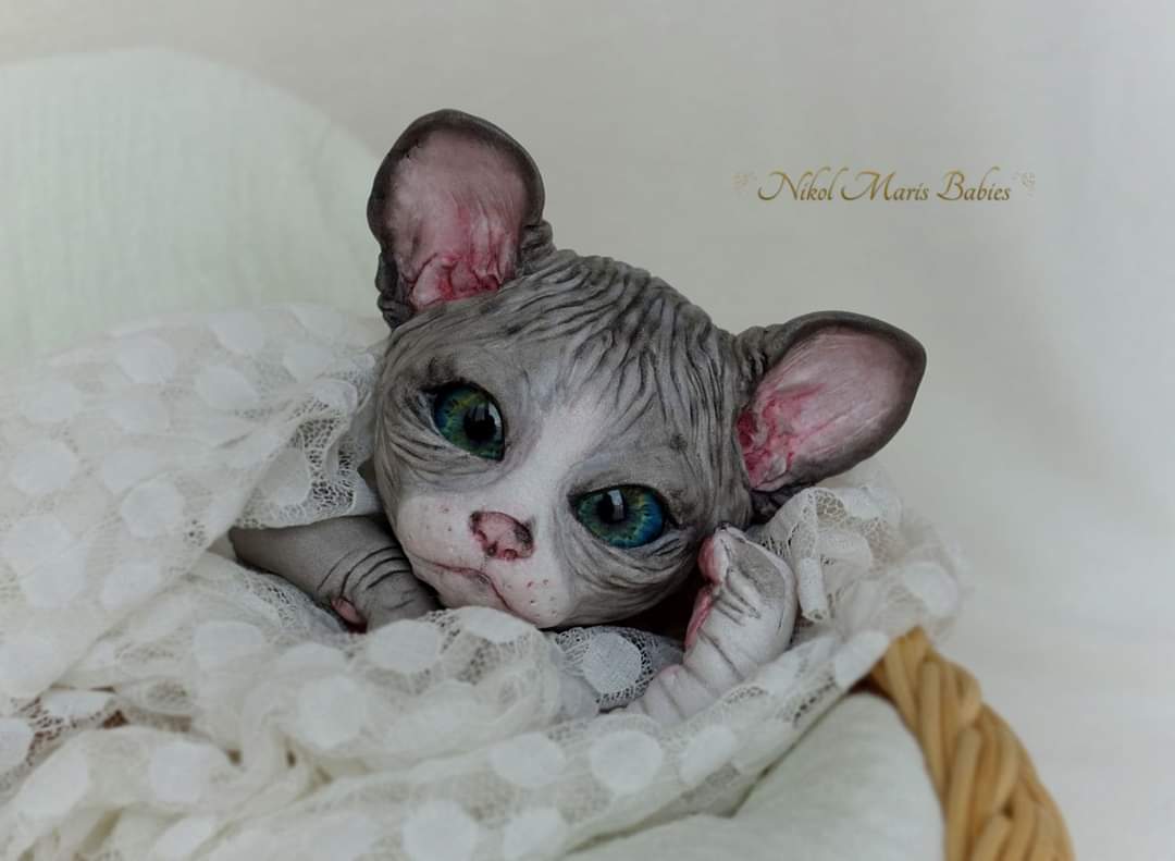 Amethyst Sphinx Kitten