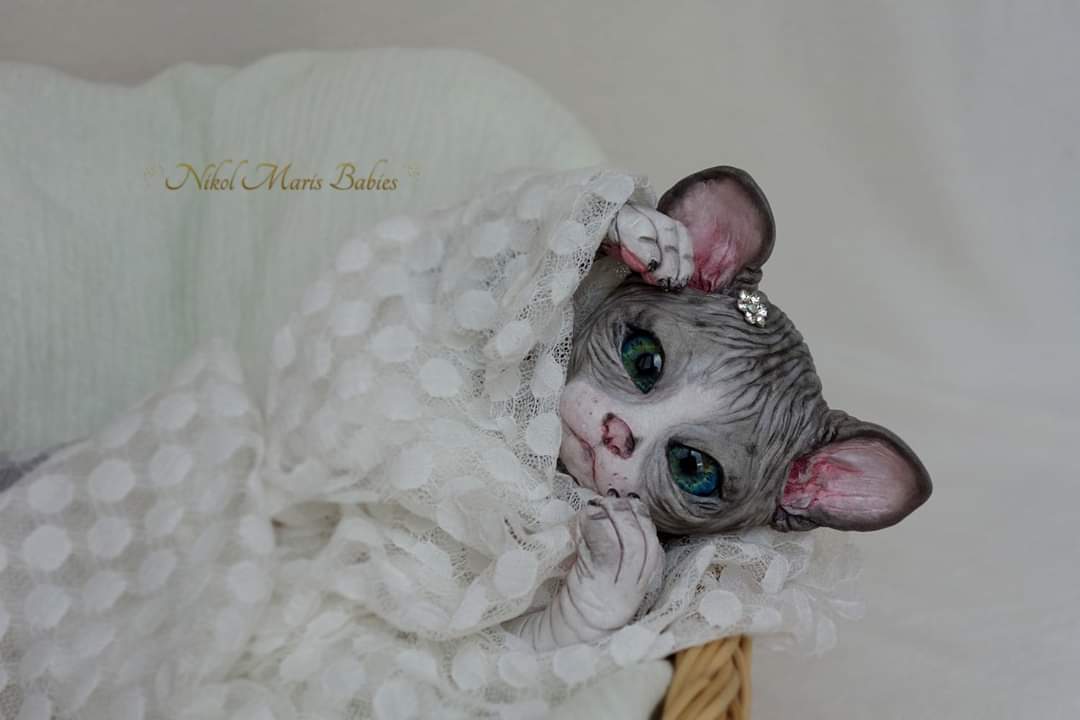 Amethyst Sphinx Kitten