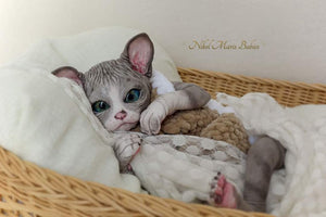 Amethyst Sphinx Kitten