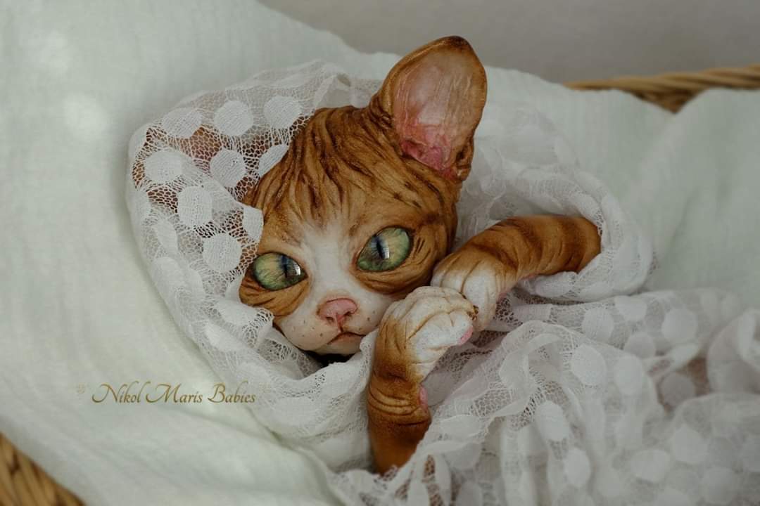 Amethyst Sphinx Kitten