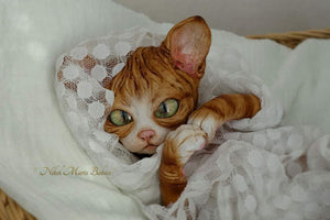 Amethyst Sphinx Kitten