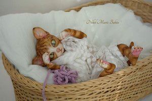 Amethyst Sphinx Kitten