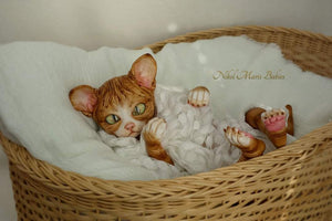 Amethyst Sphinx Kitten