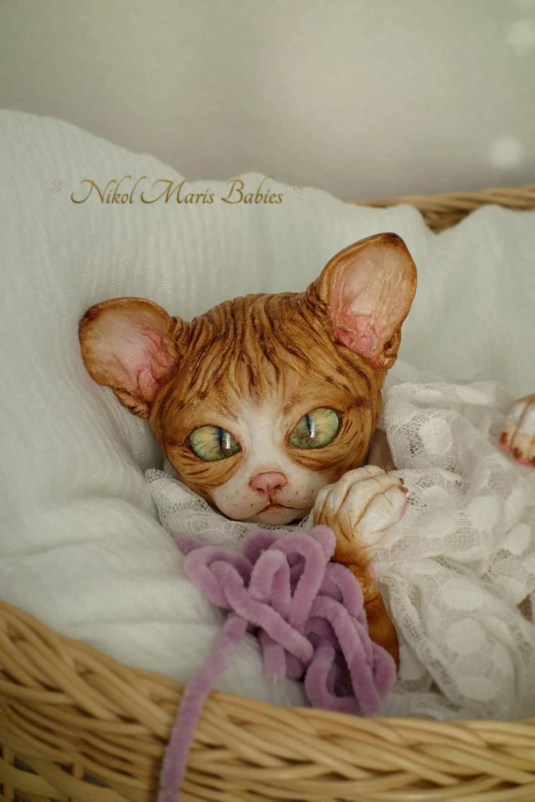 Amethyst Sphinx Kitten
