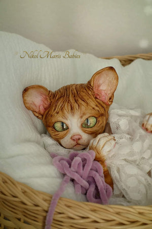 Amethyst Sphinx Kitten
