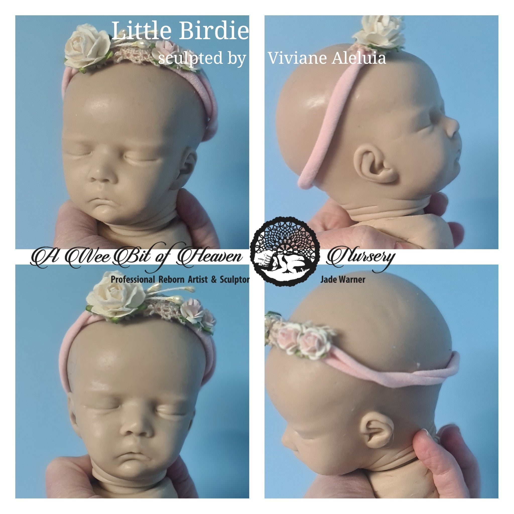 Little Birdie Silicone Un-Painted Kit Sculpted by Viviane Aleluia