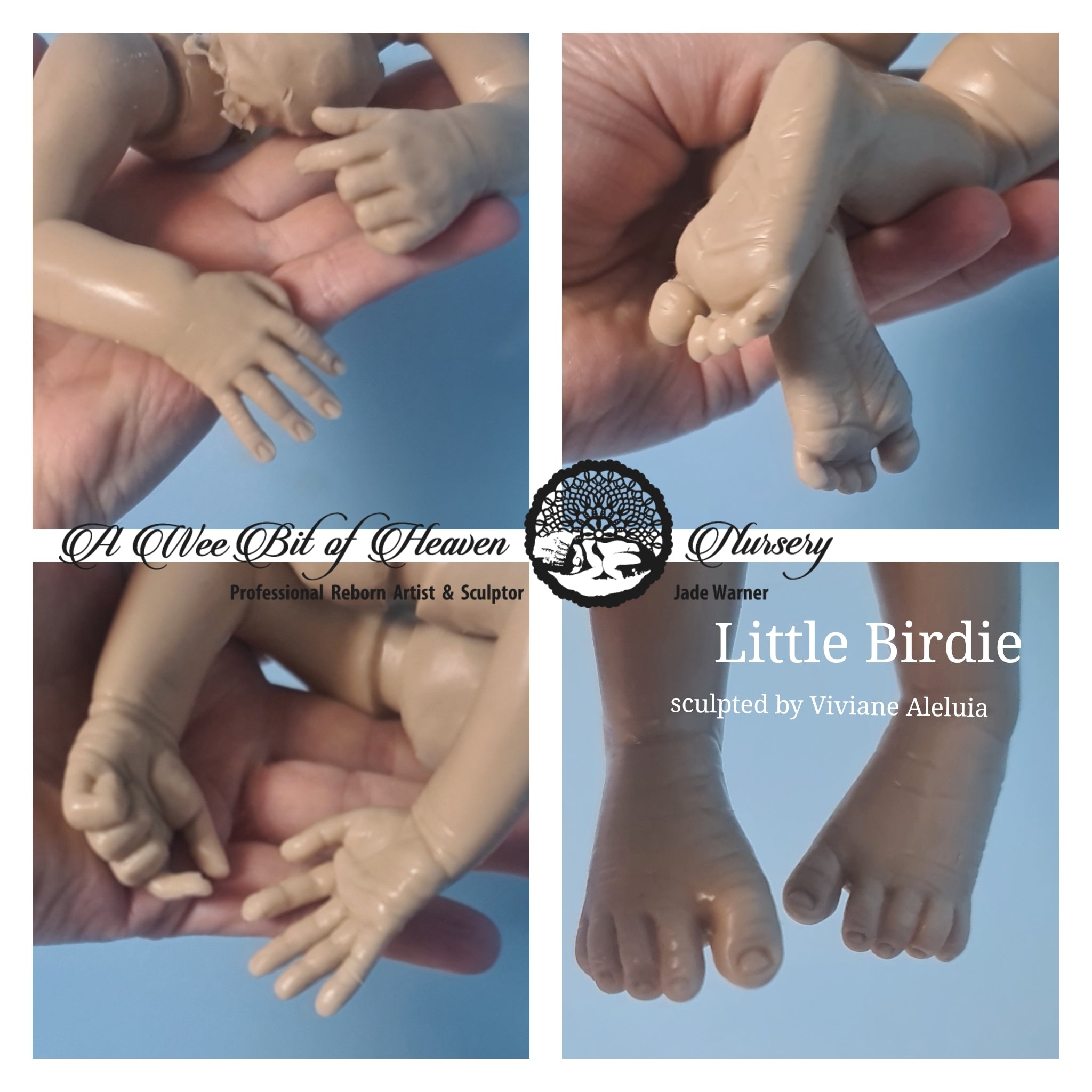 Little Birdie Silicone Un-Painted Kit Sculpted by Viviane Aleluia